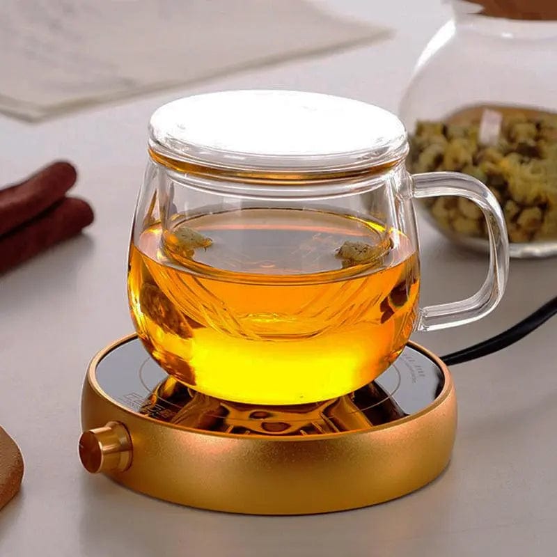 300 ml Glass Tea Mug with Single Infuser