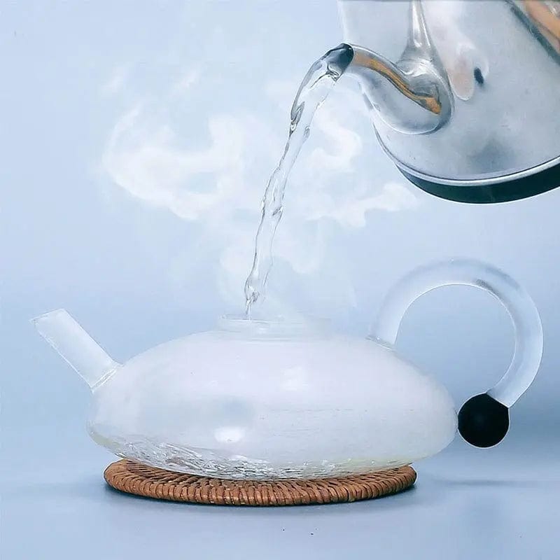 European Glass Teapot with Infuser 800ML