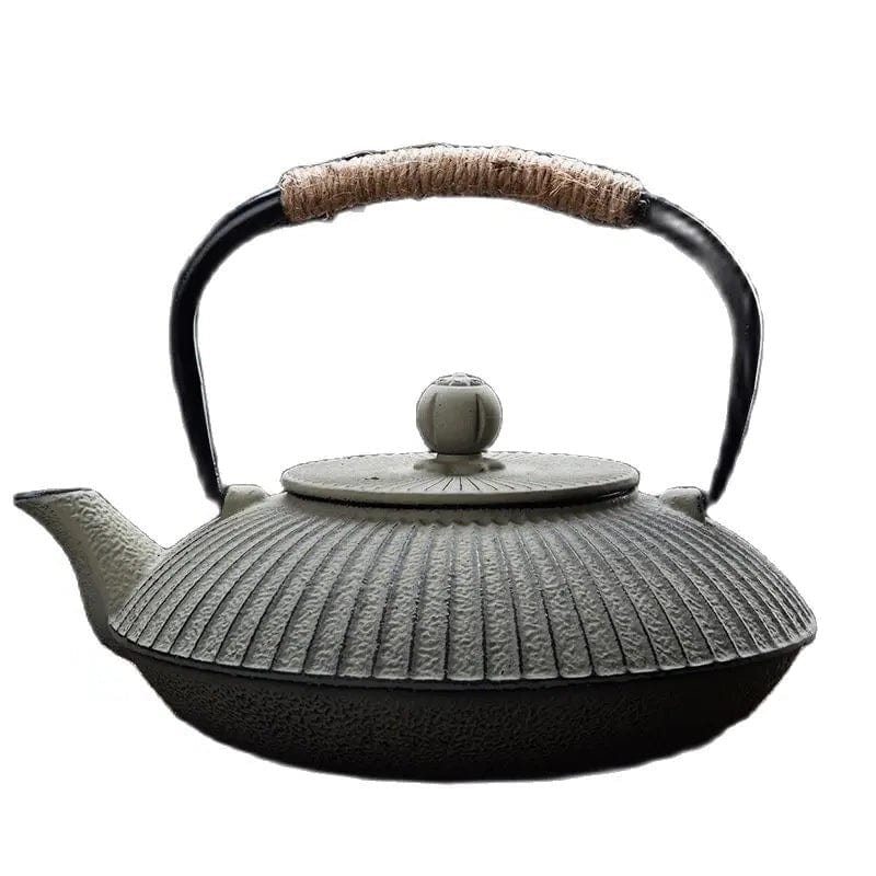 Japanese Flat Cast Iron Teapot 800ml