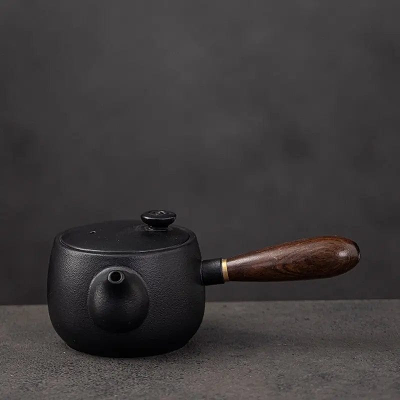 Kyusu Japanese Teapot in Black Ceramic with Design 320ml