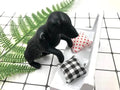 Silicone Dog Tea Infuser